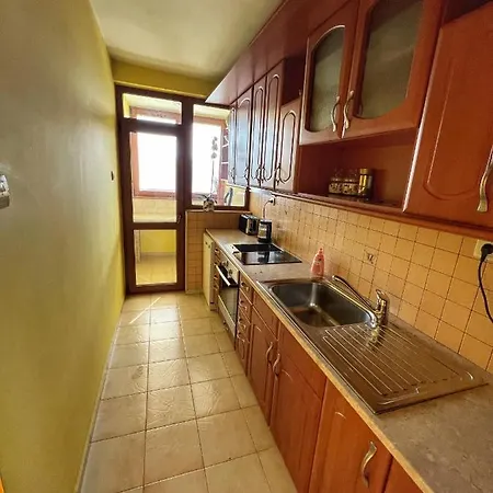 Svetlana Apartment