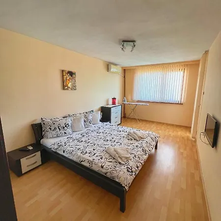 Svetlana Apartment *