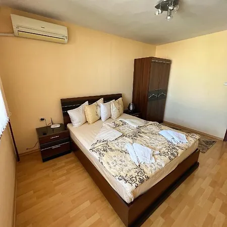 Svetlana Apartment *