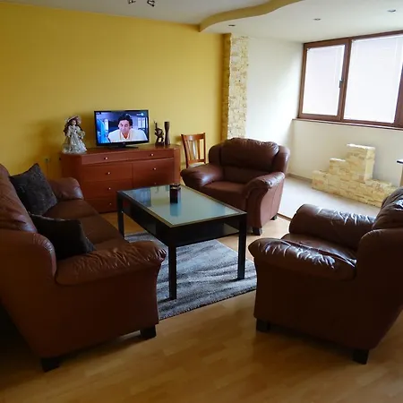 Svetlana Apartment *