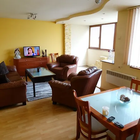 Svetlana Apartment