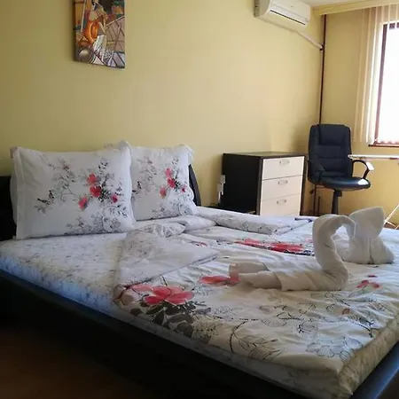 Svetlana Apartment